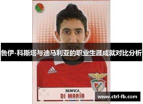 鲁伊-科斯塔与迪马利亚的职业生涯成就对比分析