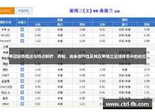 英冠联赛概述与特点解析：赛制、竞争激烈性及其在英格兰足球体系中的地位