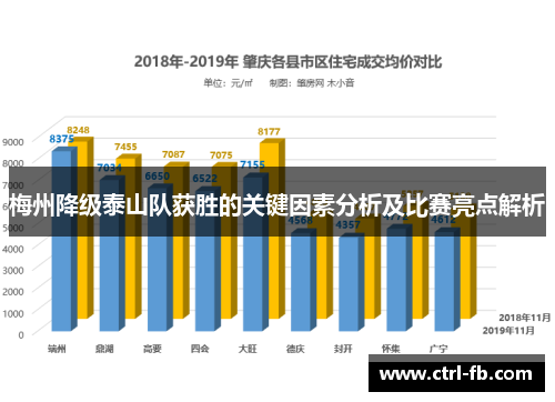 梅州降级泰山队获胜的关键因素分析及比赛亮点解析