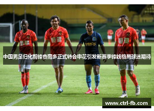 中国男足归化前锋费南多正式转会申花引发新赛季锋线格局球迷期待